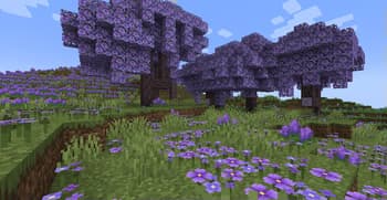 More Colorful screenshot