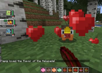 CobbleCuisine screenshot