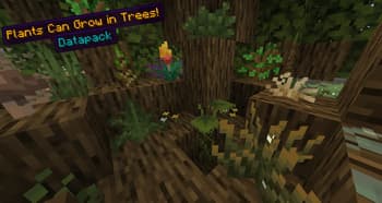 Plants Can Grow in Trees! screenshot