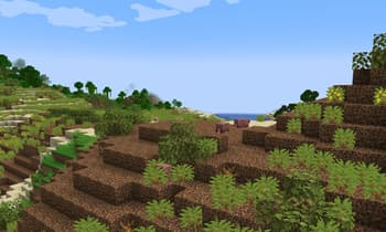 Verdance screenshot