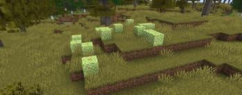 Verdance screenshot