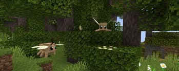 Verdance screenshot