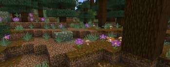 Verdance screenshot
