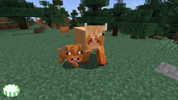 Earth Animals screenshot