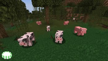 Earth Animals screenshot