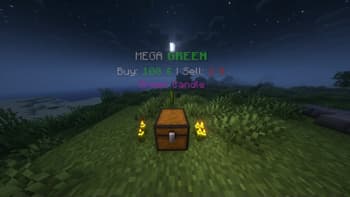 Ez Chest Shop screenshot