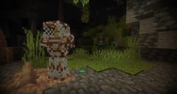 Trims Expanded screenshot