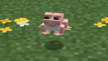 Brog Resource Pack screenshot