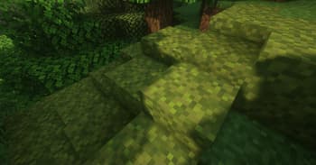 Moss Layers screenshot
