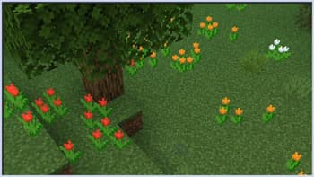 Flora Formae screenshot