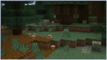 Flora Formae screenshot