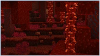 Flora Formae screenshot