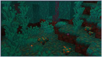 Flora Formae screenshot