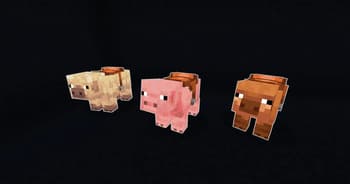 Saddles Squared screenshot