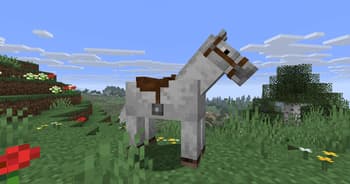 Saddles Squared screenshot