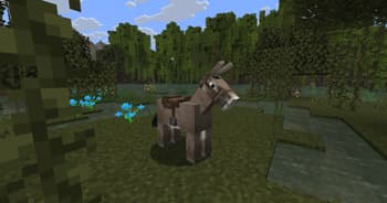 Saddles Squared screenshot