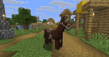 Saddles Squared screenshot
