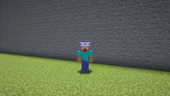 Axolotl Helmet screenshot
