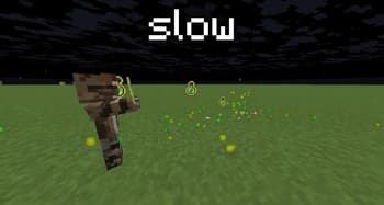 PrxjX's Xp Optimizer screenshot