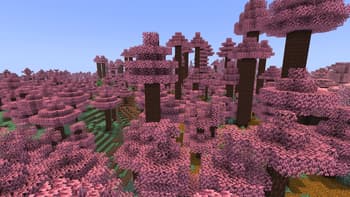 looshy pink overlay screenshot
