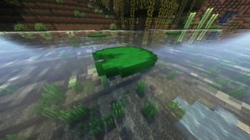 Undopia 3D Lily Pad screenshot