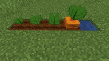 Bontiful Crops screenshot