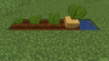 Bontiful Crops screenshot