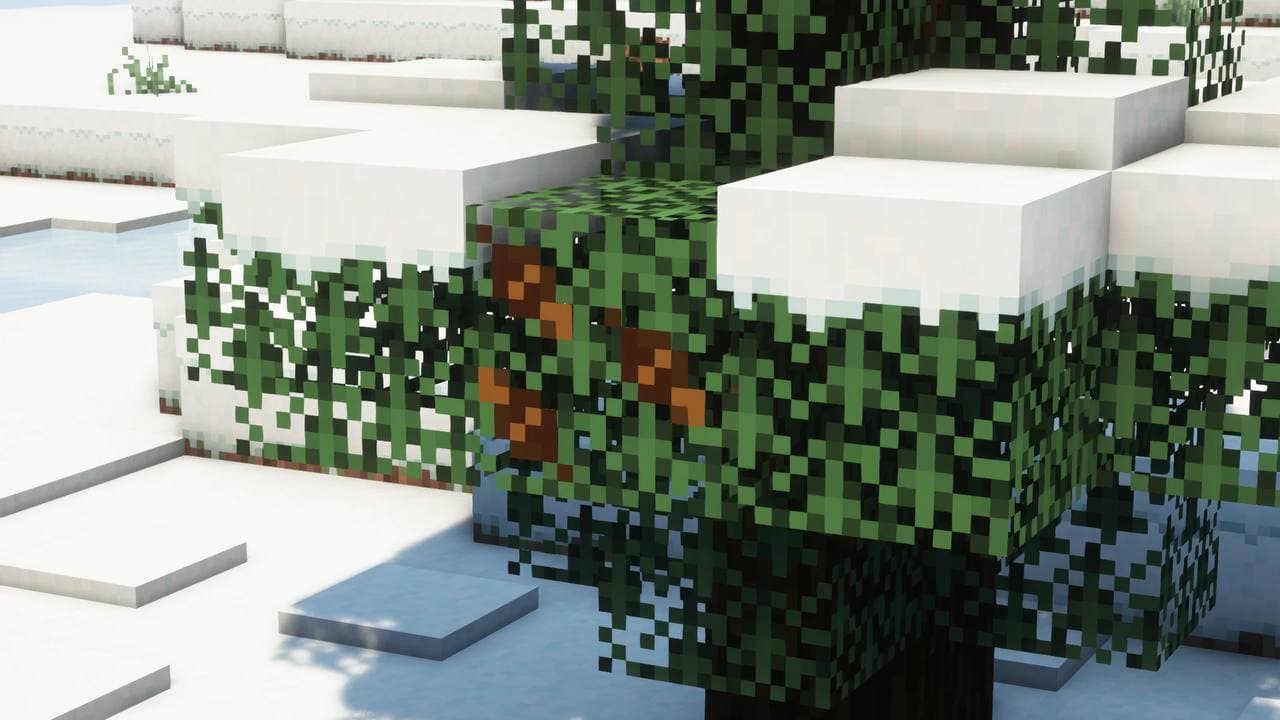 A New Perception - ANEP screenshot