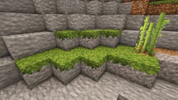 A New Perception - ANEP screenshot