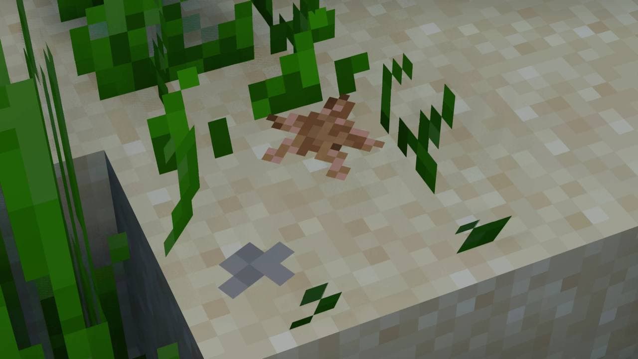 A New Perception - ANEP screenshot