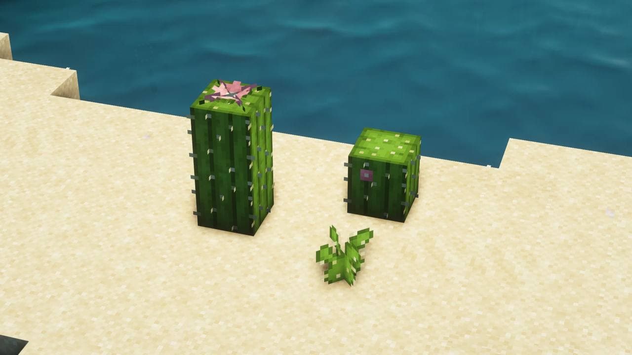 A New Perception - ANEP screenshot