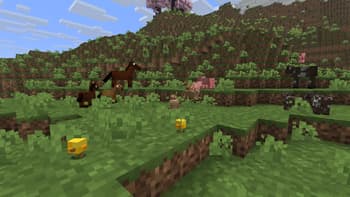 Vanilla 8x8 screenshot
