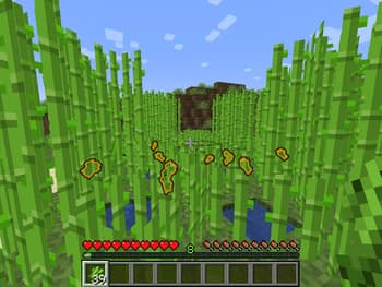JSST screenshot