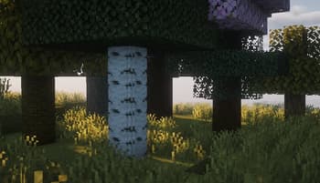 Round Logs - Heycronus screenshot