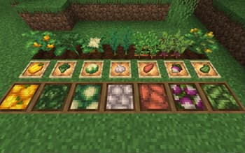 Veggies Delight (A Farmer's Delight Add-on) screenshot