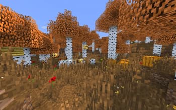 Autumnal Birch Forest (Programmer Art) screenshot