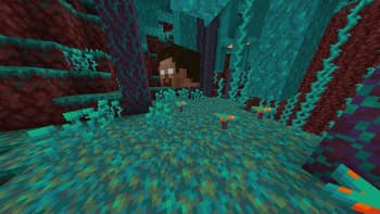 Nasir's Mobs Plus screenshot