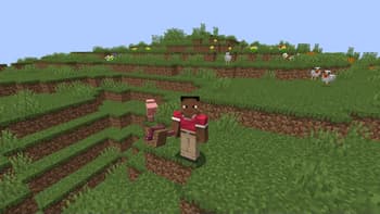 Animation vs Player screenshot