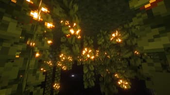 Harvest Haven screenshot