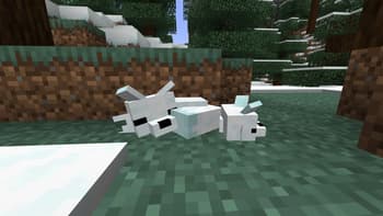 Enhanced Foxes x Fresh Animations screenshot