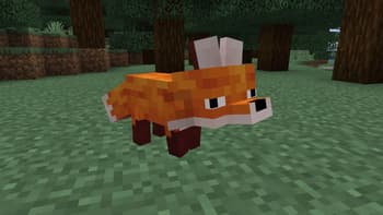 Enhanced Foxes x Fresh Animations screenshot