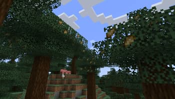 Create: Garnished Reworked screenshot