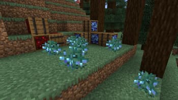 Create: Garnished Reworked screenshot