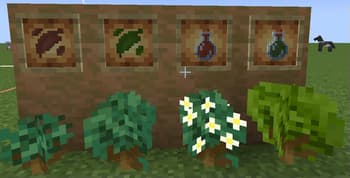 Maple screenshot