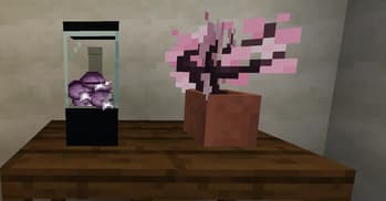 Maple screenshot