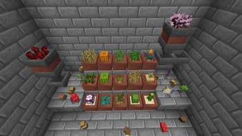 Botany Pots DP screenshot