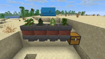 Botany Pots DP screenshot