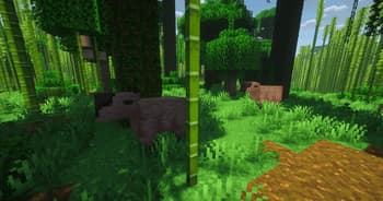 Marvelous Menagerie: Paradoxical screenshot