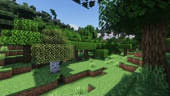 Beauté screenshot
