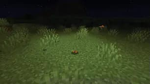 Player Companions screenshot